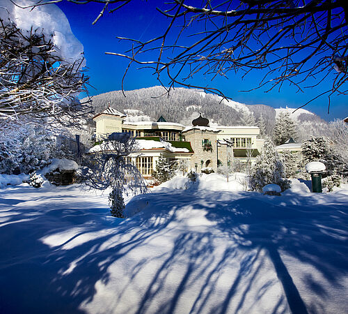Garten im Winter