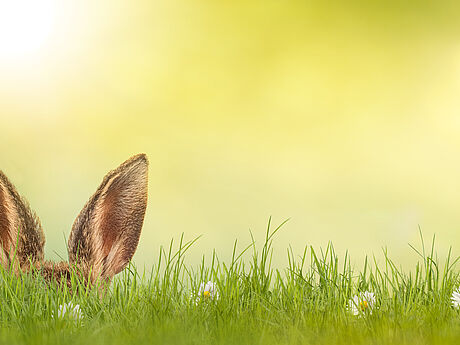 [Translate to English:] 