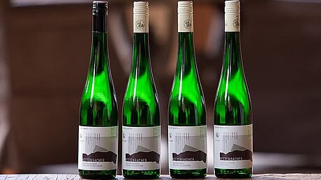 Rettenbacher Weine 